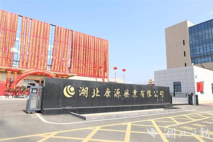 康源药业迁扩项目点火投产